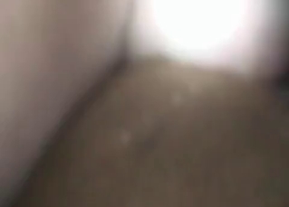 Puppy fucking owner