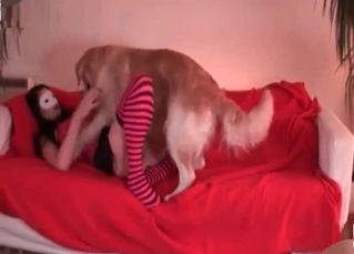 Pet pleasing masked girl