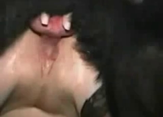 Fucked in a zoo porn scene