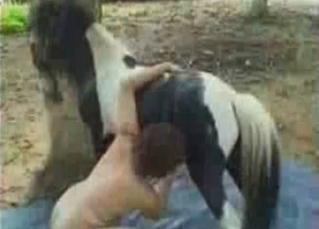 Huge pooches dick pleased