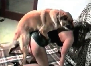 Homemade zoo sex scene