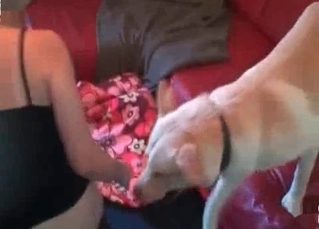 Brown pup and blonde girl