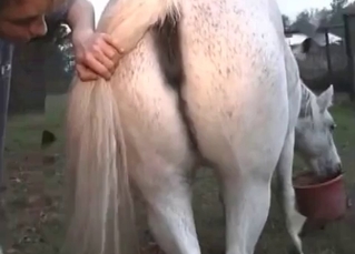 Petting cute horsy