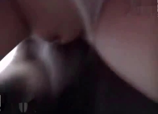 Hound has zoo sex with a babe