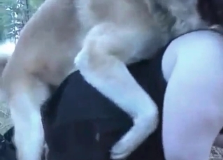 Mutt fucking outdoor