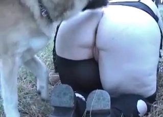 Mutt fucking outdoor