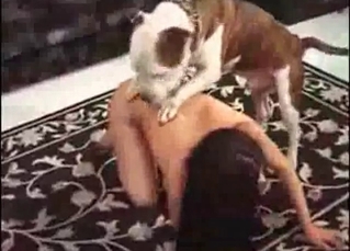 Stray fucking hairy pussy