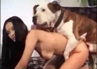 Stray fucking hairy pussy