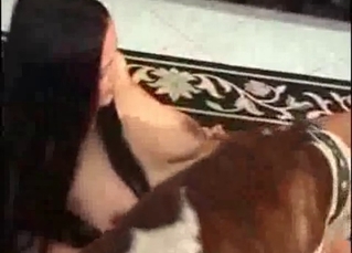 Stray fucking hairy pussy