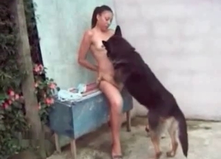 Cur and a skinny Ebony
