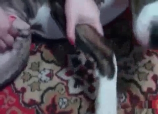 Pooch enjoying handjob