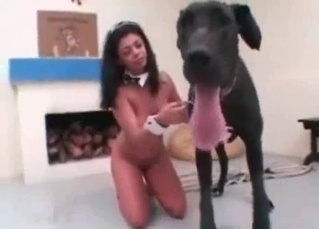 Stray fucked in close up