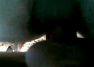 Animal sex video in close up