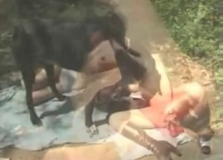 Zoo porn with a big doggy