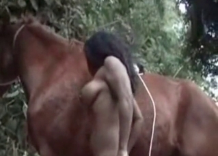 Wonderful Horse and Ebony