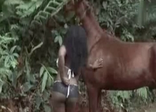Wonderful Horse and Ebony