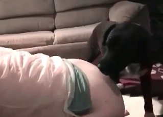 Tyke pleasing a chick