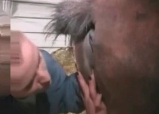 Pony teased and fucked