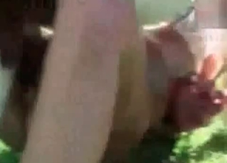 Outdoor fuck with a mare