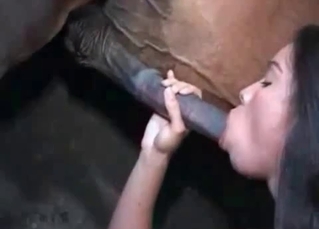 Ebony chick sucking coltТs dick