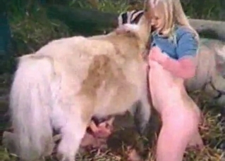 Horse and two sluts
