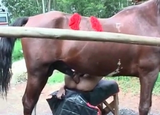 Pony nailing tight asshole