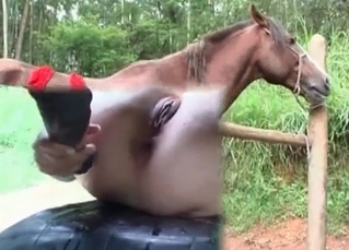 Pony nailing tight asshole