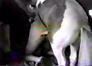 Filly nailing tight butt hole