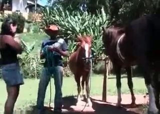 Mustang jerked by a chick