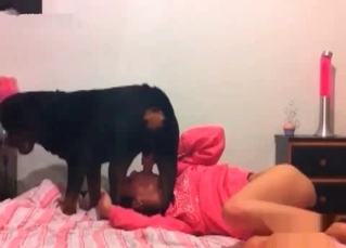 Animal sex with a cur