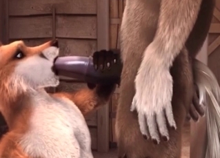 Cartoon fox sucking cock