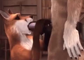 Cartoon fox sucking cock