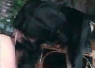 Stray fucking white chick