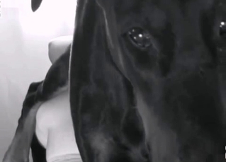 Black mutt pounding cunt