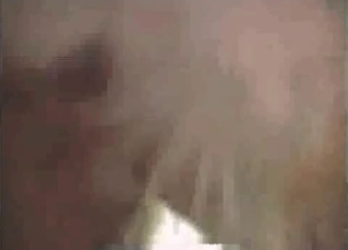 Zoo sex with a brown hound