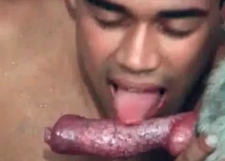 Animal sex scene with a guy