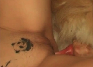 Tattooed chick fucked by a mutt