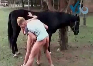 Black horse fucked by a couple