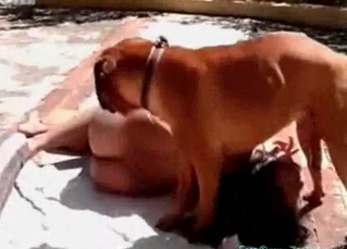 Zoo sex of a dog and girl