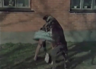 Pounded hardcore by a dog