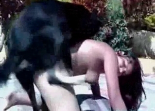 Cute doggy nailing girl outdoor