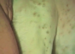 White animal fucked from behind
