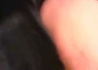Passionate dog fucks a whore