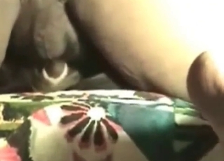 Black animal fucked in the anal