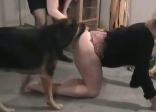 Two sluts are enjoying their dog