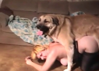 Blonde enjoys her sweet dog