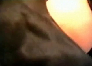 Spicy doggy is enjoying her cunt