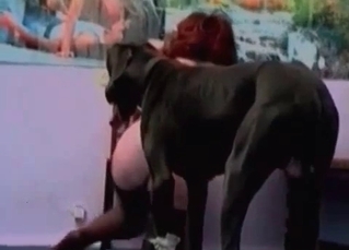 Hungry doggy enjoys a pussy