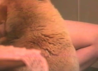 Doggy is licking a hard dick