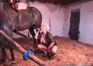 Milf slowly sucks a horse dick